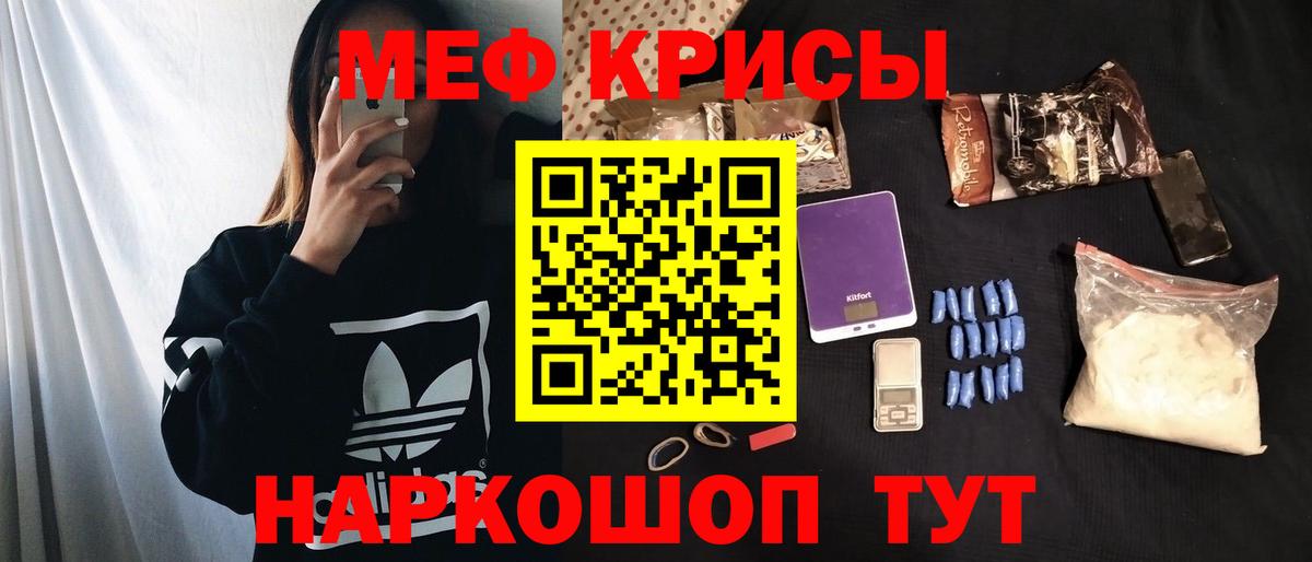 МЕФ  Коряжма