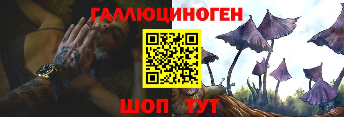 Псилоцибиновые грибы Cubensis  Вход с VPN  Коряжма 